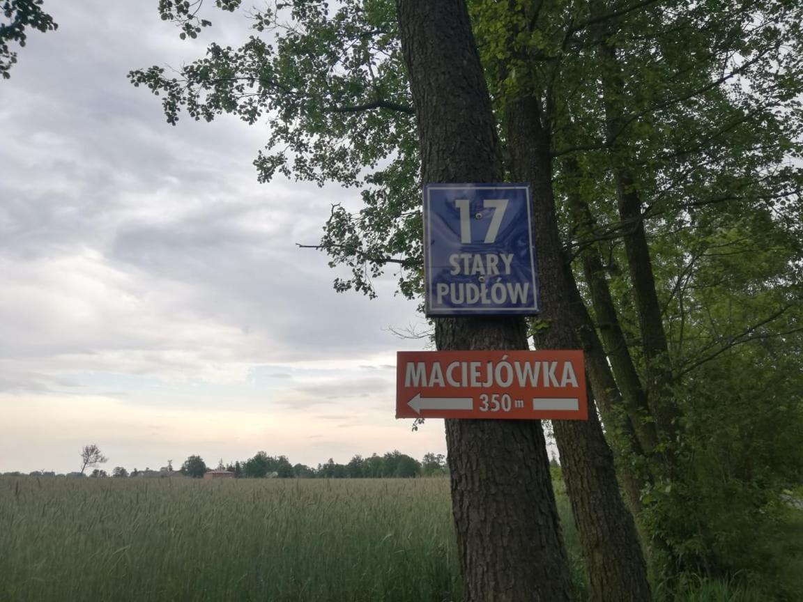 Maciejowka Gospodarstwo Agroturystyczne Poddebice Extérieur photo
