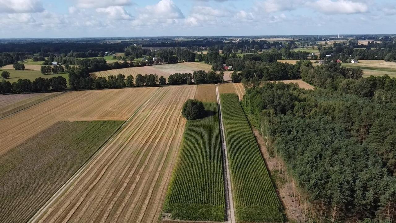 Maciejowka Gospodarstwo Agroturystyczne Poddebice Extérieur photo