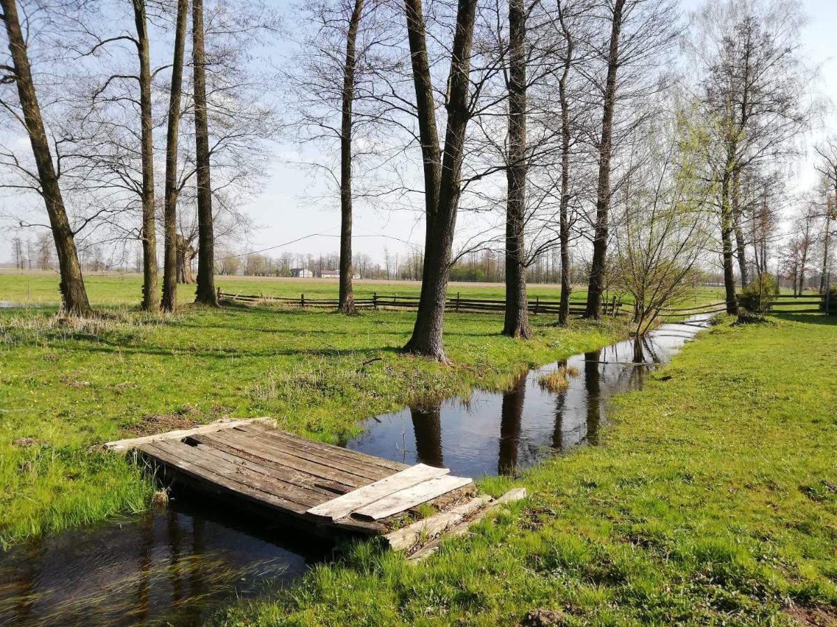 Maciejowka Gospodarstwo Agroturystyczne Poddebice Extérieur photo